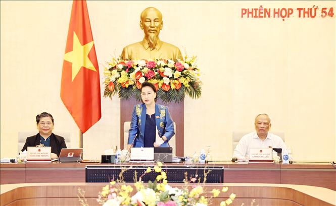 Cho ý kiến tổng kết công tác nhiệm kỳ của Quốc hội và Ủy ban Thường vụ Quốc hội